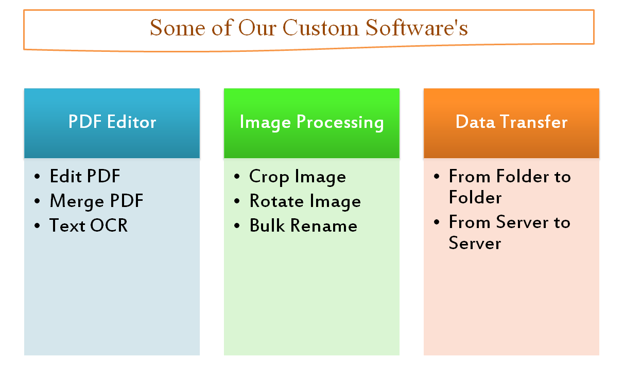 custom software service provider